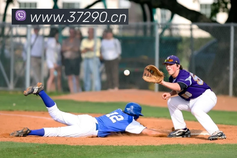 多媒体互动体验